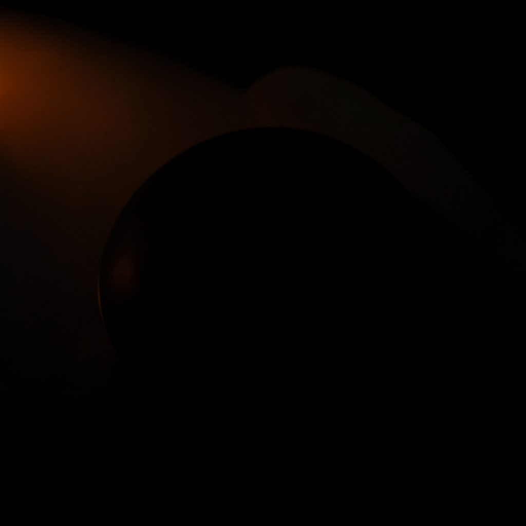 Dark wooden showcase background with soft warm amber tones and deep shadow, evoking a refined boutique display